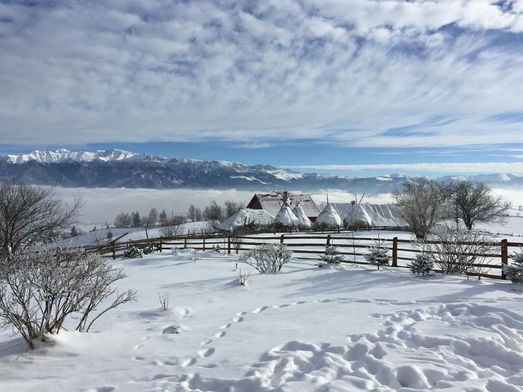 Chalet Ro Peştera Exterior foto